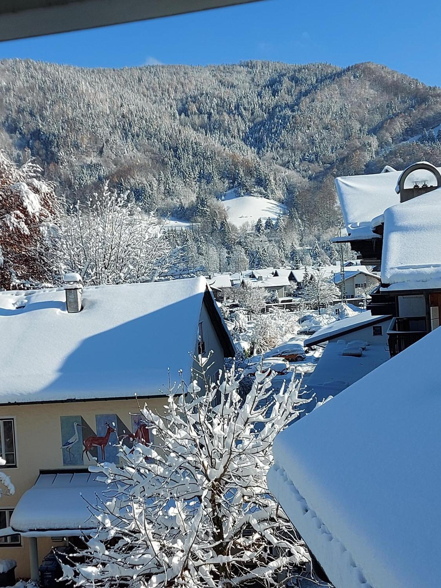 Ferienwohnungen Schneiderhaeusl Inkl. Chiemgaukarte Ruhpolding Esterno foto